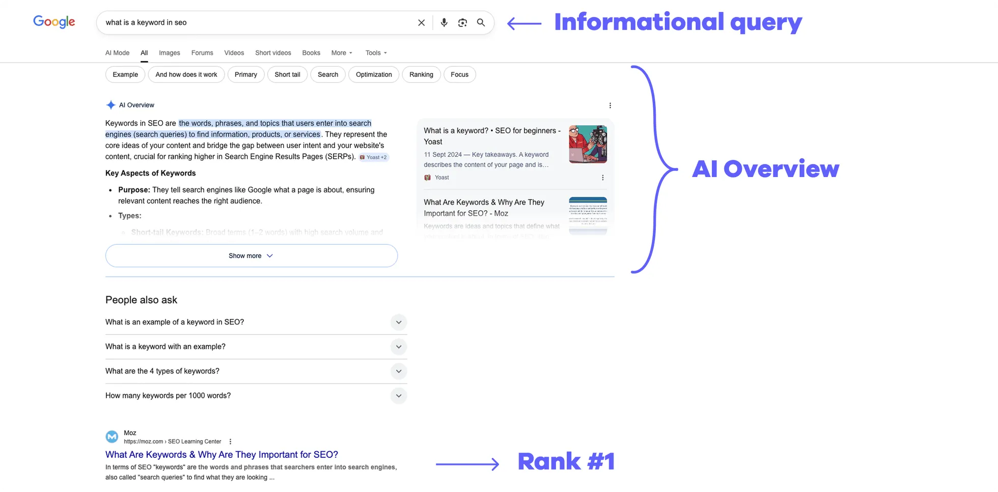 An Informational Query on Google with an AI Overview Feature