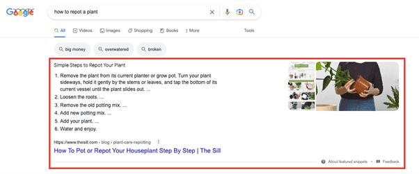 How to Optimize for Featured Snippets4.png