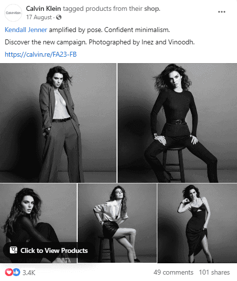 Calvin Klein and Kendall Jenner - Collab .png